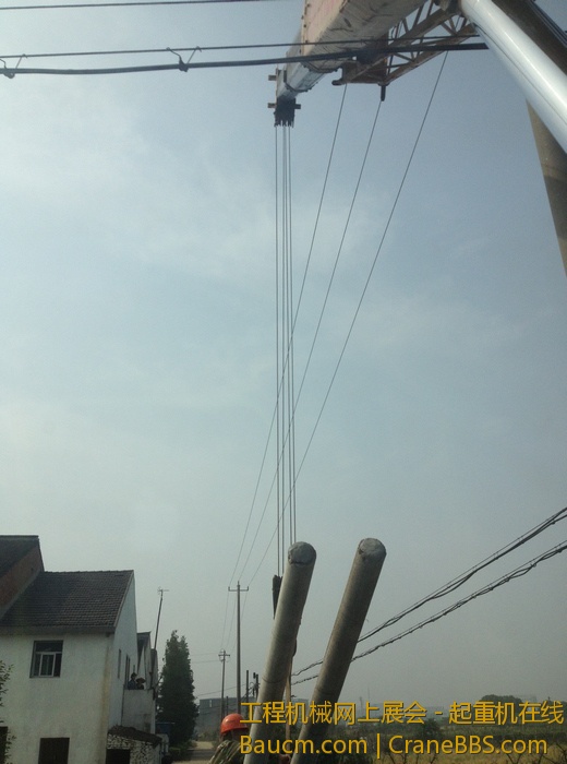 nEO_IMG_毛毛 306.jpg