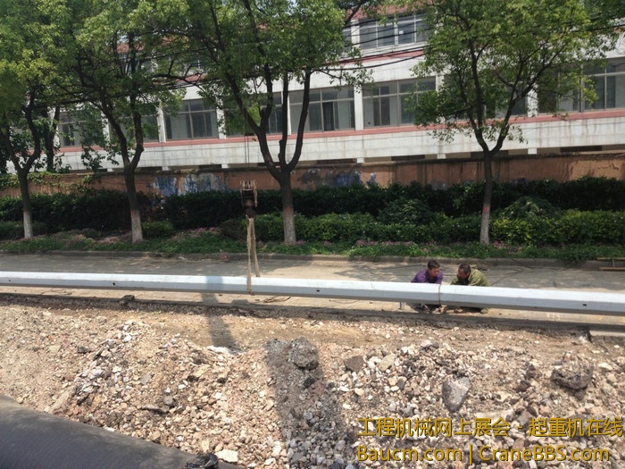 nEO_IMG_毛毛 313.jpg