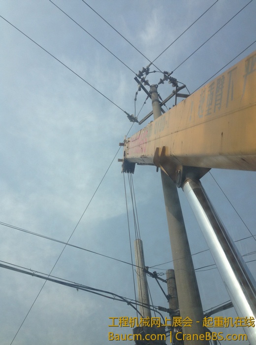 nEO_IMG_毛毛 301.jpg