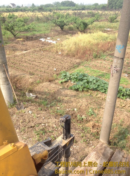 nEO_IMG_毛毛 304.jpg