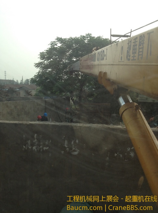 nEO_IMG_毛毛 320.jpg