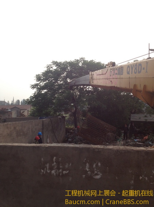 nEO_IMG_毛毛 321.jpg