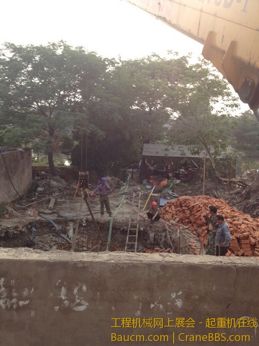 nEO_IMG_毛毛 322.jpg