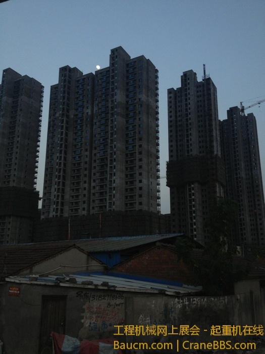 nEO_IMG_毛毛 333.jpg