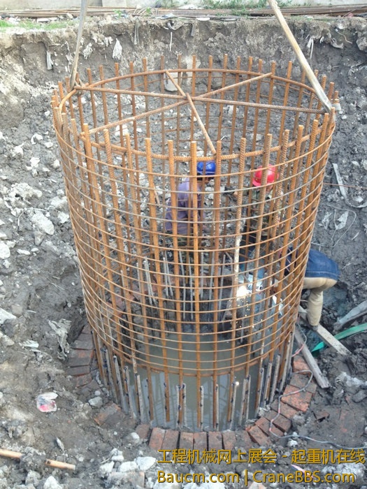 nEO_IMG_毛毛 330.jpg