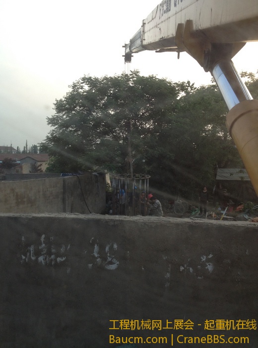 nEO_IMG_毛毛 331.jpg