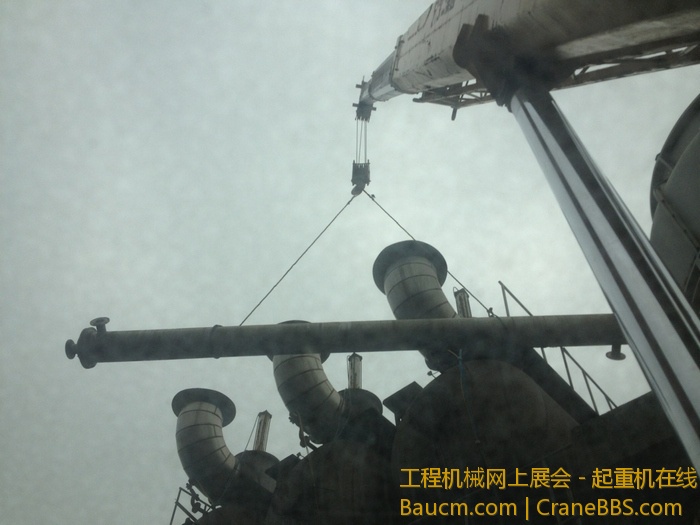 nEO_IMG_毛毛 365.jpg