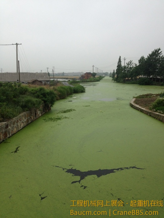 nEO_IMG_毛毛 358.jpg