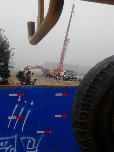  什么车路上看到的