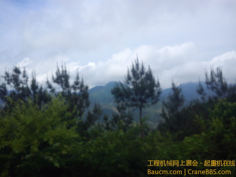 IMG_20130526_154051.jpg