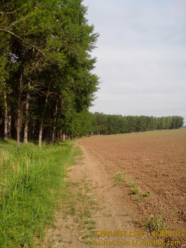 IMG_20130528_073709.jpg