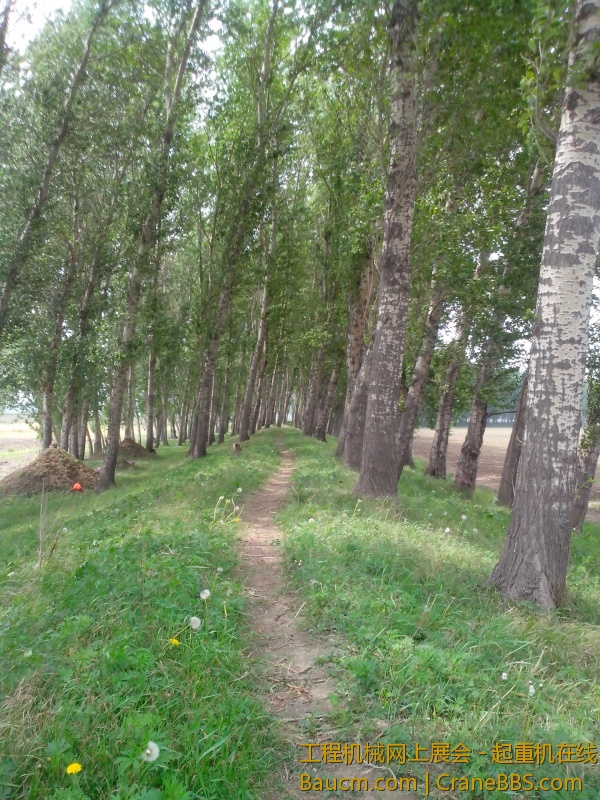 IMG_20130528_125649.jpg