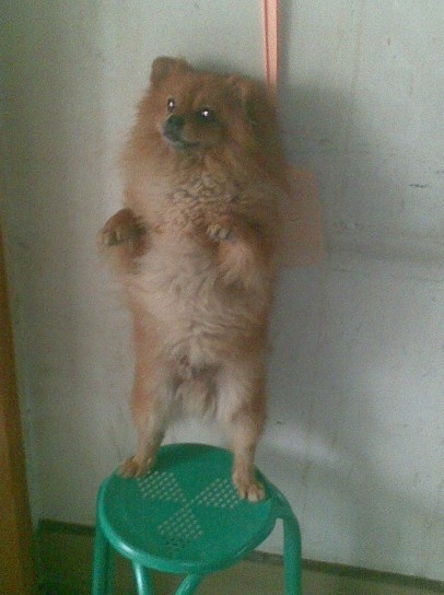 中午休闲！罚站