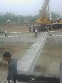 IMG1159A.jpg