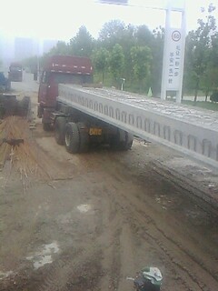 IMG1160A.jpg