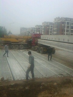 IMG1175A.jpg