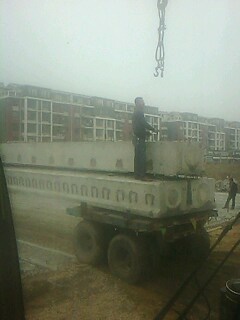 IMG1176A.jpg