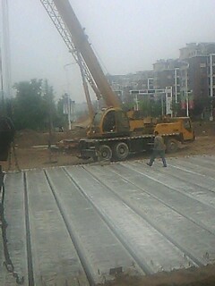 IMG1178A.jpg