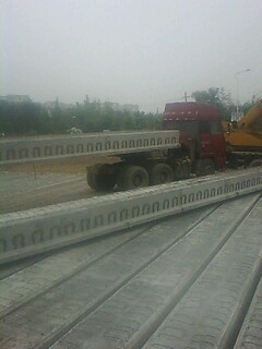 IMG1172A.jpg