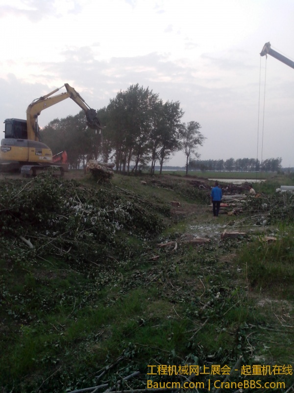 IMG_20130602_184714.jpg