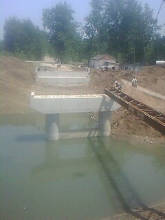 IMG1184A.jpg