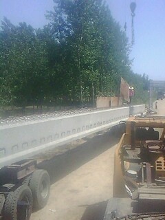 IMG1205A.jpg