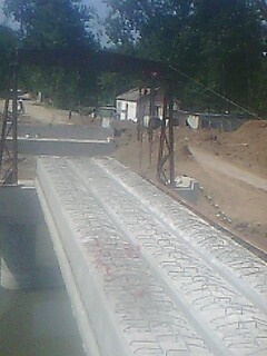 IMG1206A.jpg