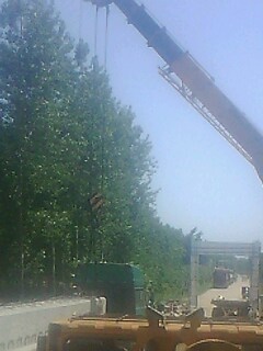IMG1201A.jpg