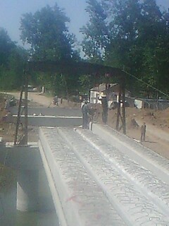 IMG1215A.jpg