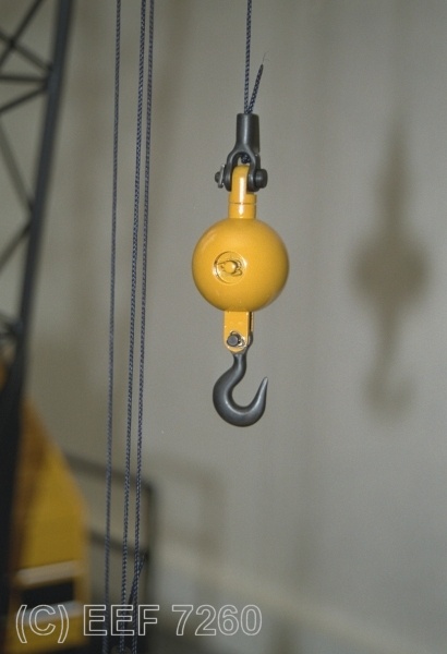 img021.jpg