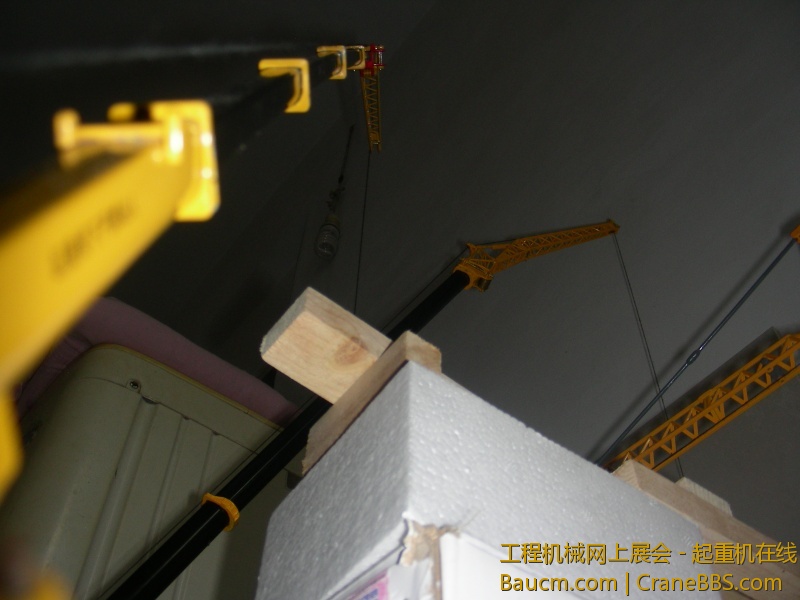 DSCN7181.JPG