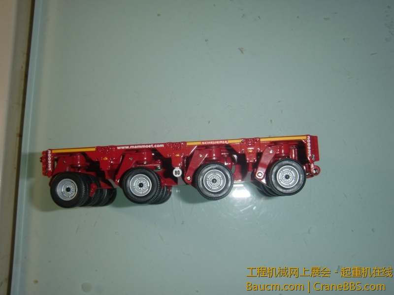 CIMG1230.jpg