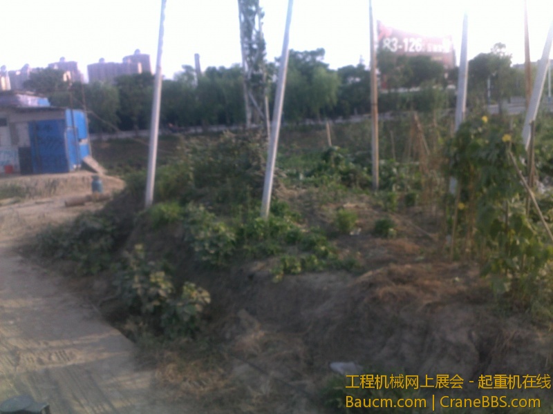 图像2143.jpg