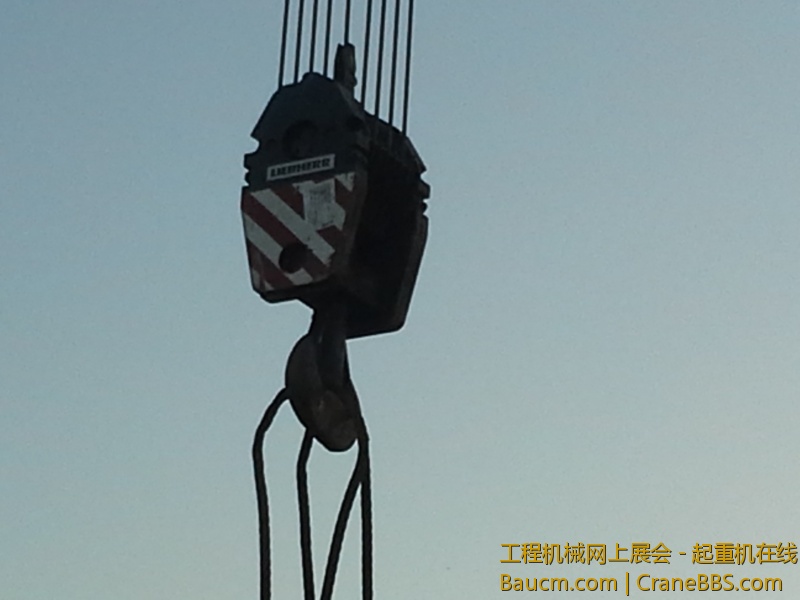 20130801_070942.jpg