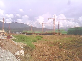 IMG0175A.jpg