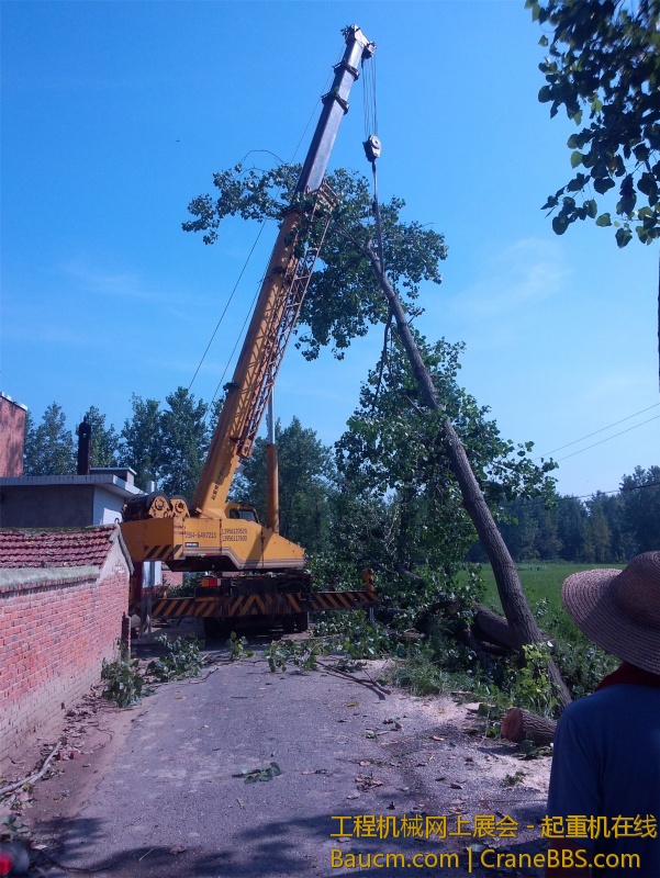 大家仔细看环境好恶劣啊