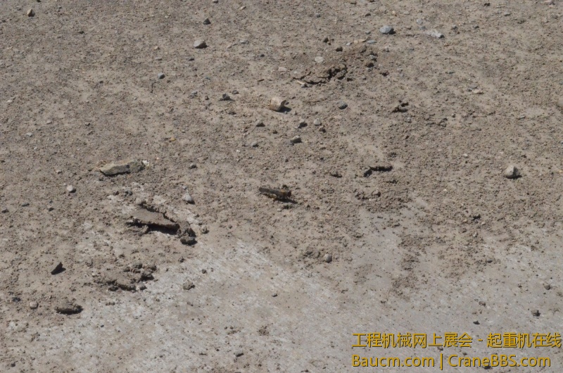 s2000_DSC_0700.JPG