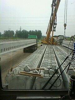 IMG1557A.jpg