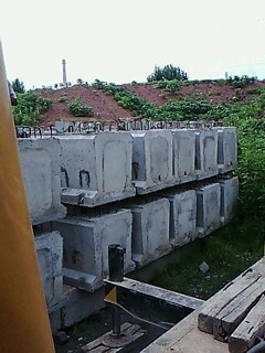 IMG1558A.jpg