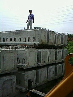 IMG1563A.jpg