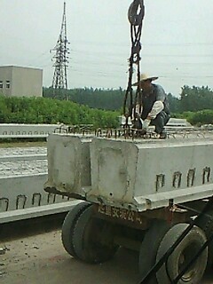 IMG1565A.jpg