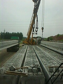 IMG1559A.jpg