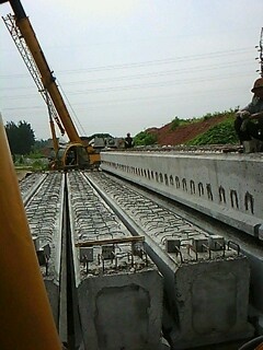 IMG1561A.jpg