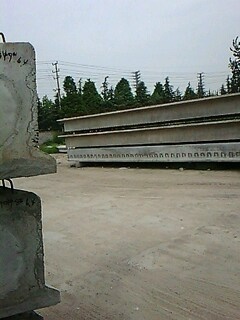 IMG1562A.jpg
