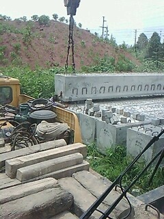 IMG1576A.jpg