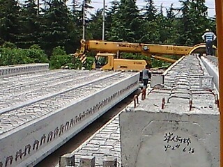 IMG1570A.jpg