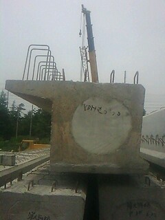 IMG1572A.jpg