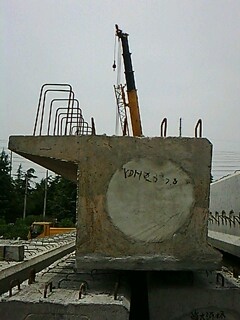 IMG1573A.jpg
