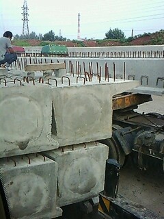 IMG1598A.jpg