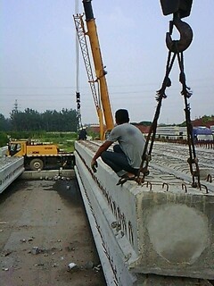 IMG1602A.jpg